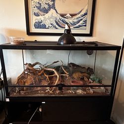Reptile Tank Front Opening Doors
