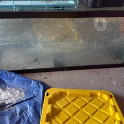Free 75 Gallon