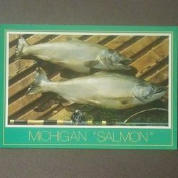 Michigan Chinook Salmon Fish Fishing Rod Net John Penrod Hiawatha Unused Vintage Collectible Postcard Post Card RPPC PC