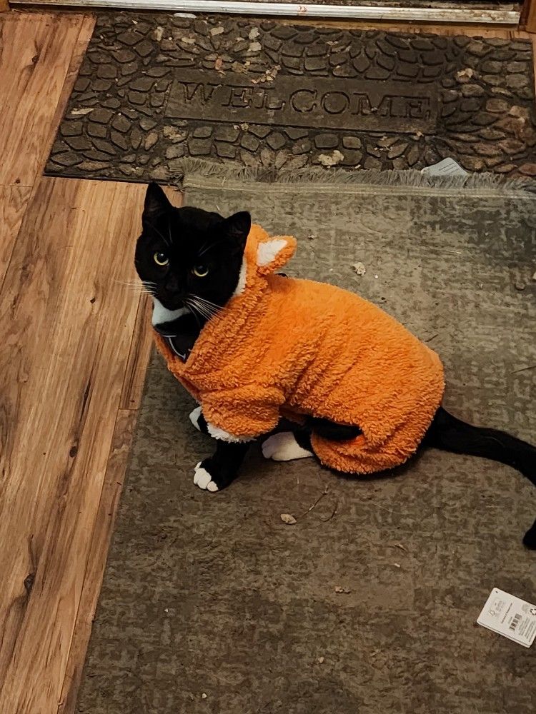 In Need Of A Working Refrigerator