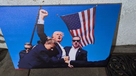 20" X 30" Donald Trump Canvas Print