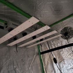 VIVOSUN GROW TENT WITH LIGHTS 