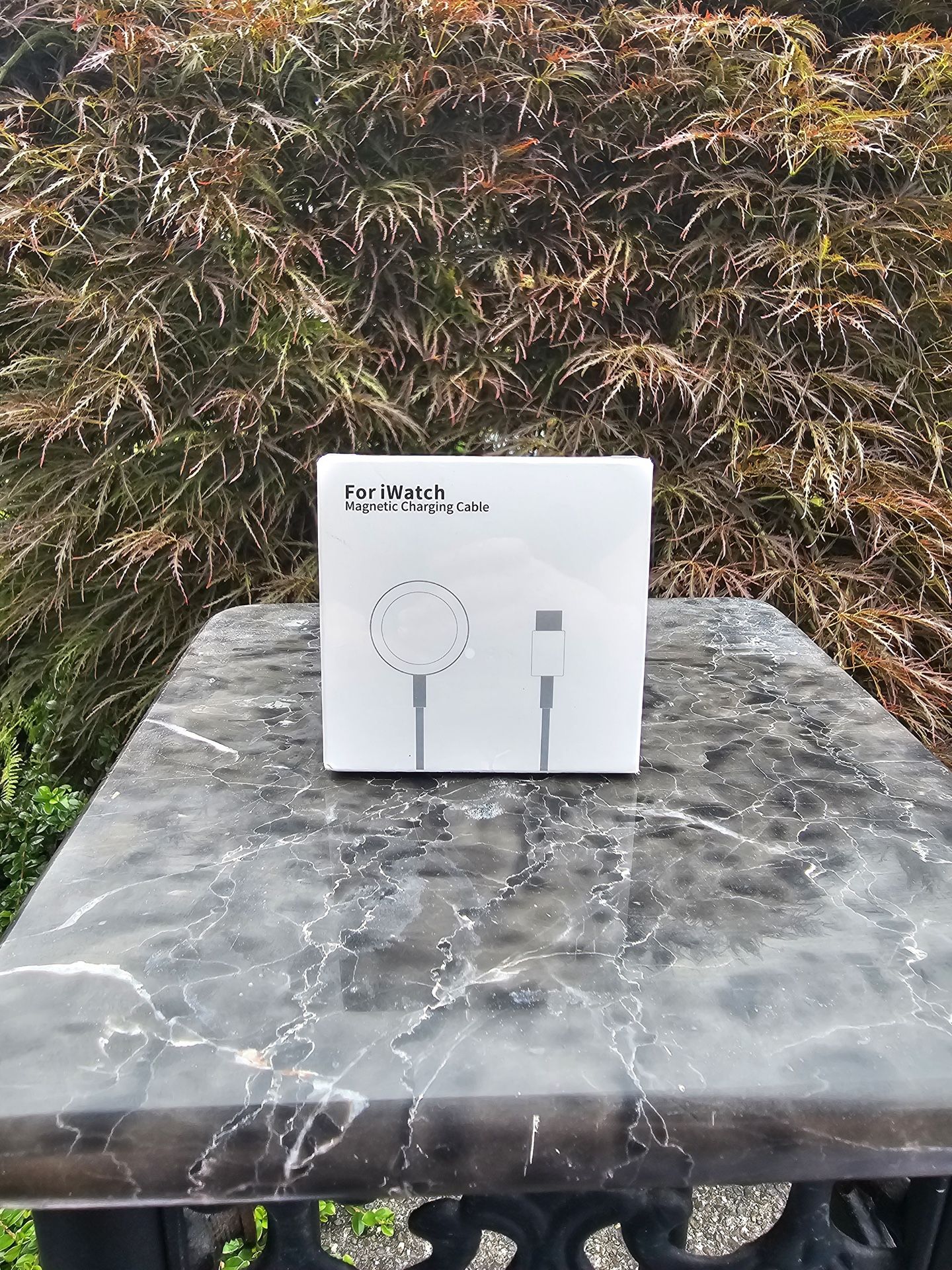 Apple Watch Charger