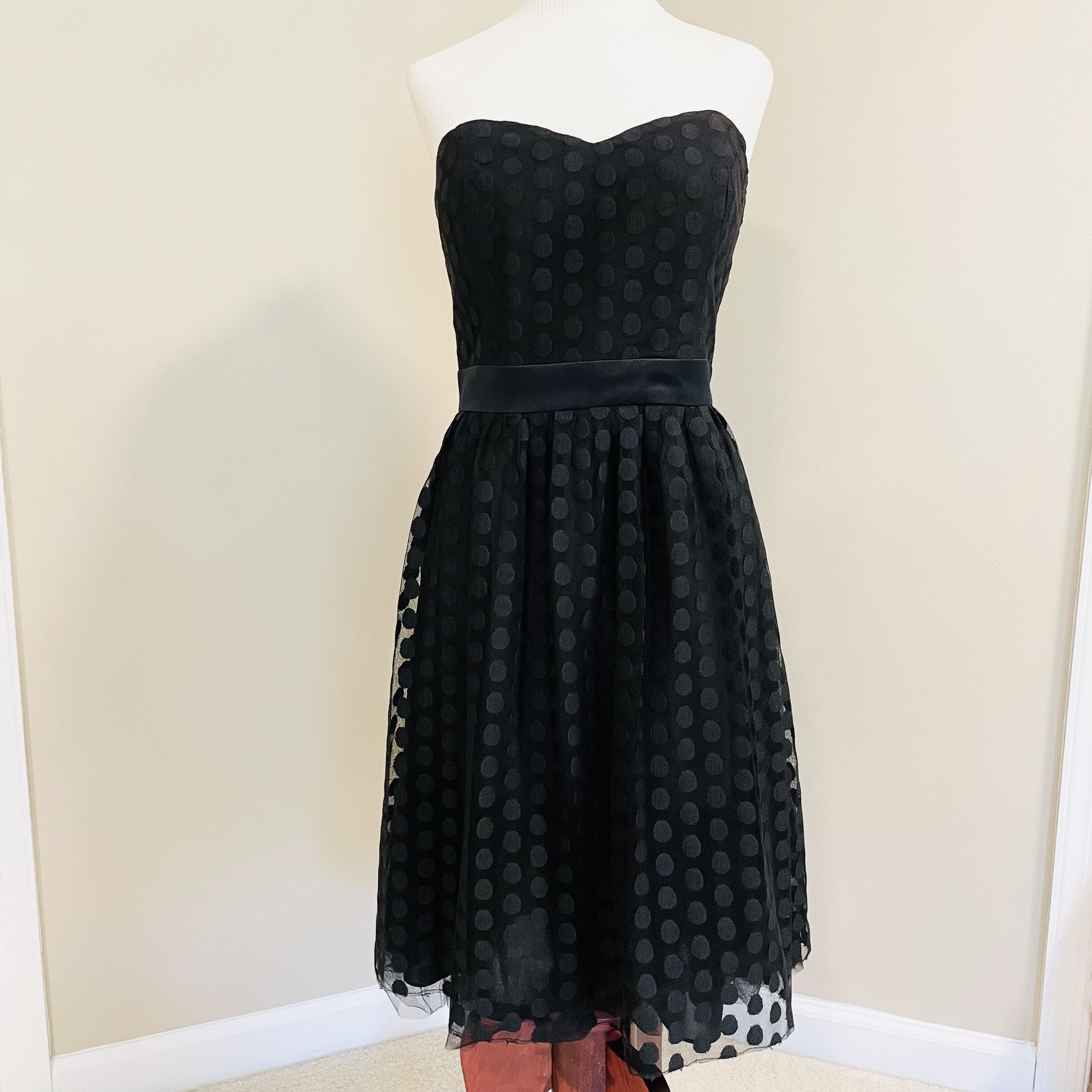 White House Black Market Black Knee Length Spotted Dress With Tulle
