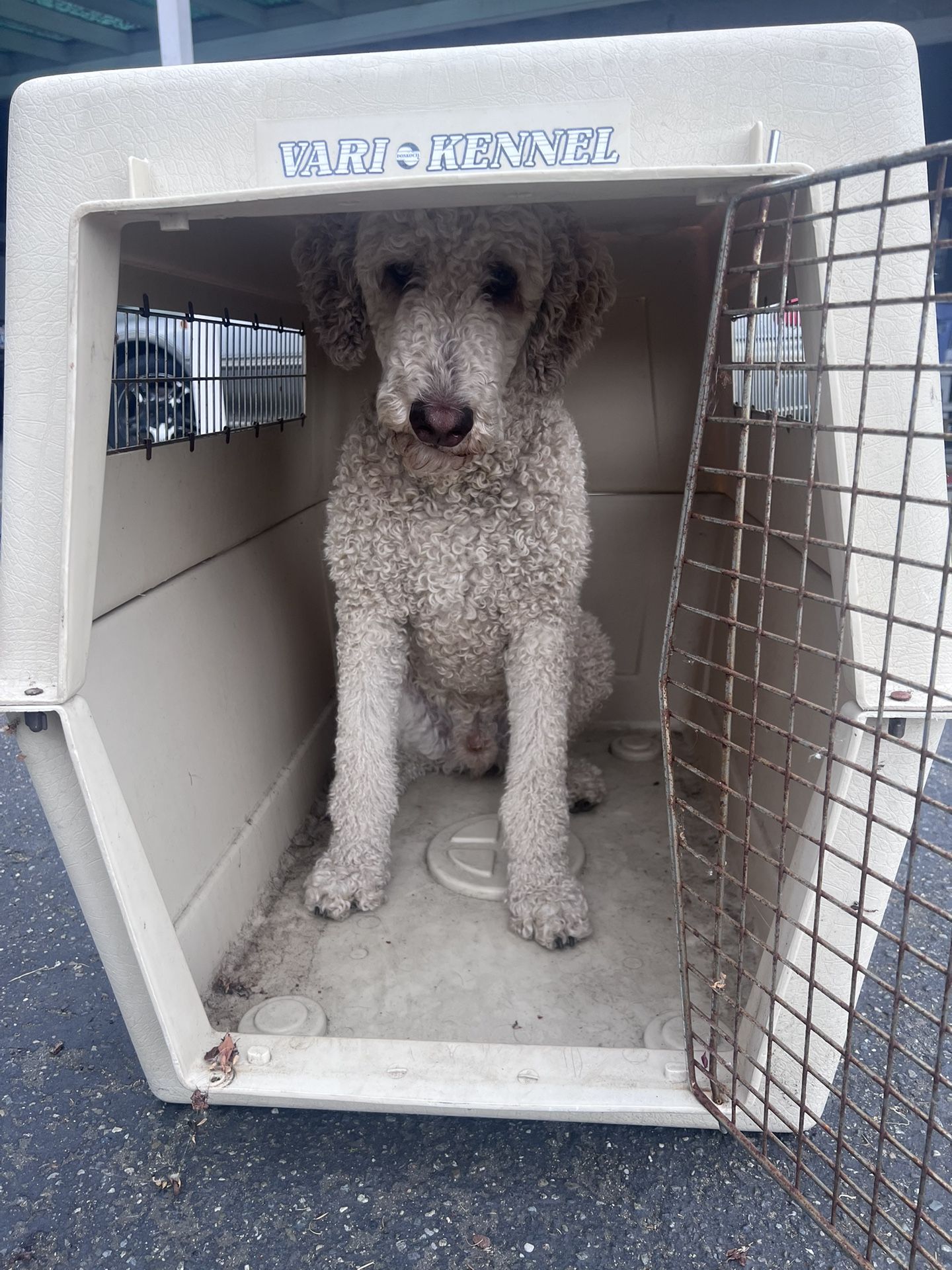 XL Dog Crate. Vari-Kennel 