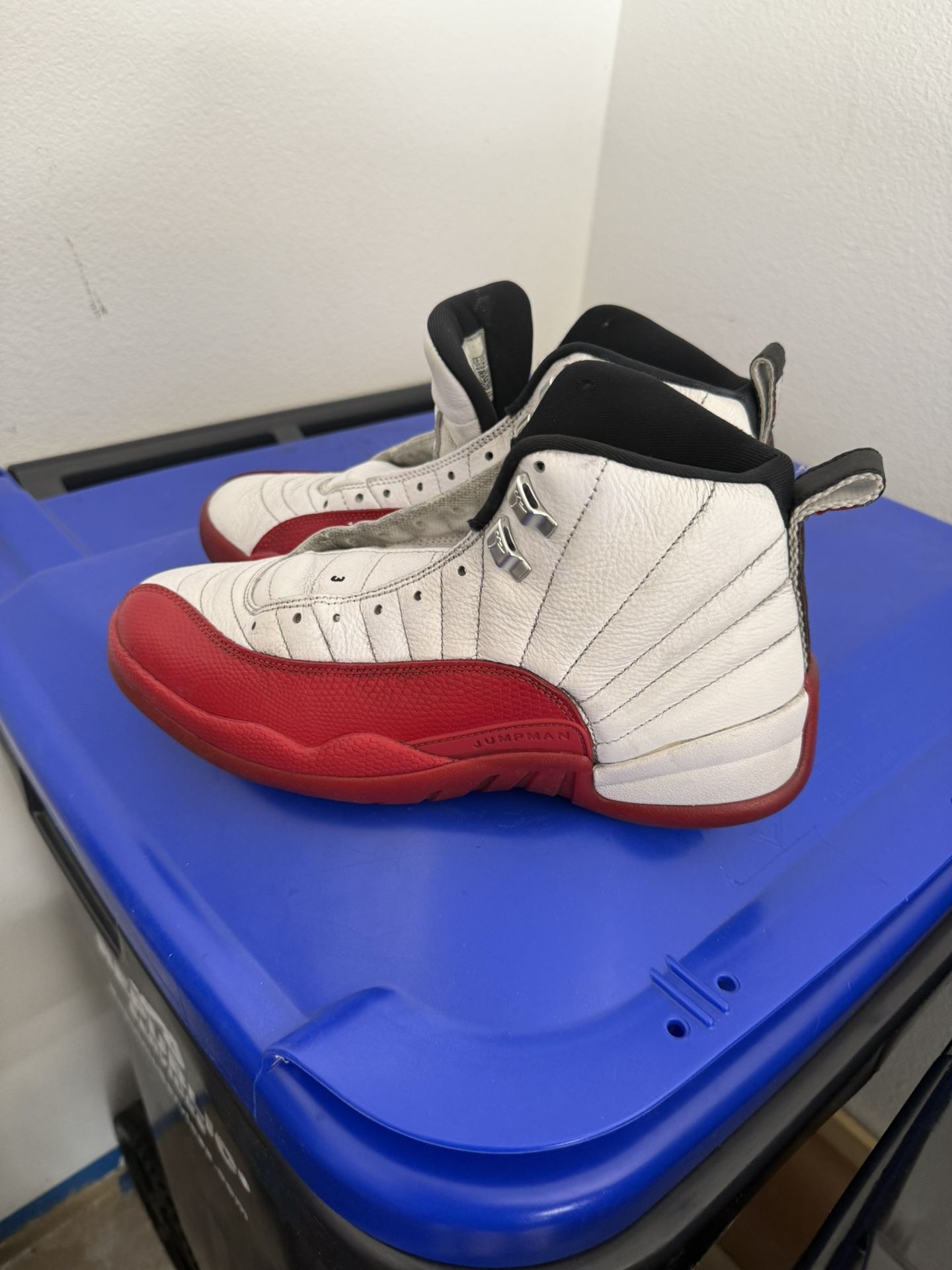 Jordan 12 Cherry Men 10