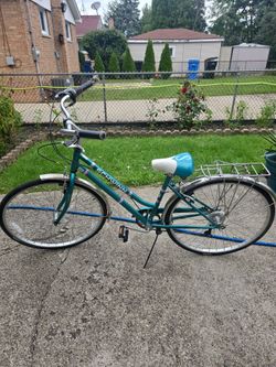 Adult Bike 28in