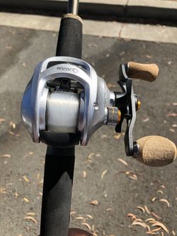Fishing pole with rod 