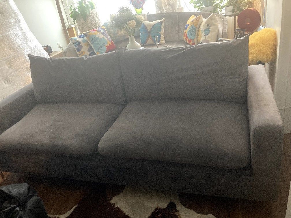 Gently Loved Sofa