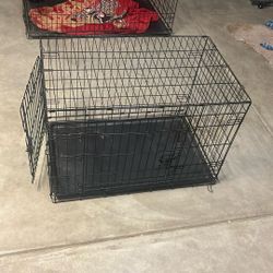 Dog Cage 