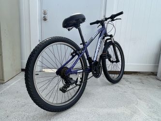 Schwinn Ranger 24