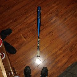Yankees Fan Will Love This Bat