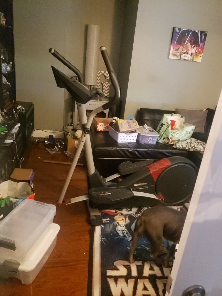 Proforma ELLIPTICAL $30