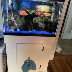 29 Gallon Tank With Stand 