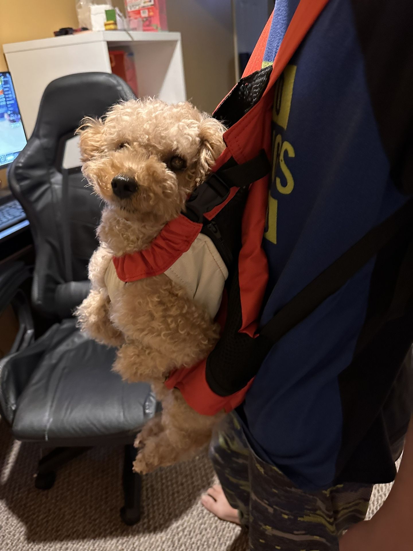 Pet Pouch