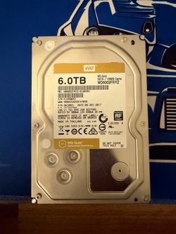 WD Gold 6TB Datacenter Hard Drive WD6002FRYZ