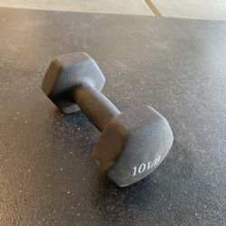 Single 10 Lb Dumbell