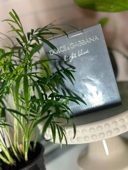 Dolce gabanna light blue perfume