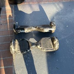 Electric Skates