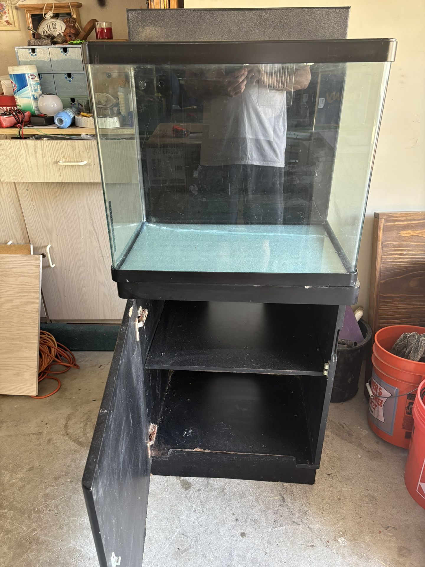 Salt Water Aquarium