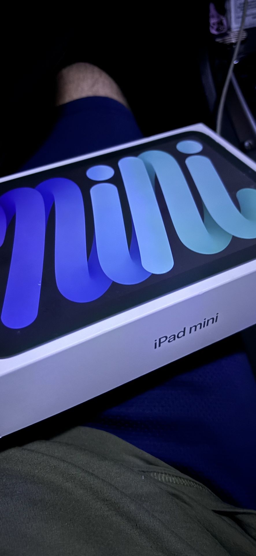 iPad Mini A17 Pro Wifi+Cellular 