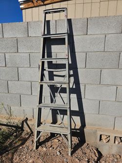 5 Foot Aluminum Ladder