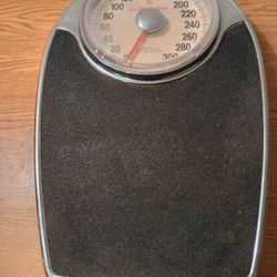 Health O Meter Personal Bathroom Scale 