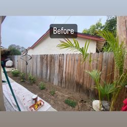 Fence / Repair / Replace / Stain / Paint / Wood Fence 