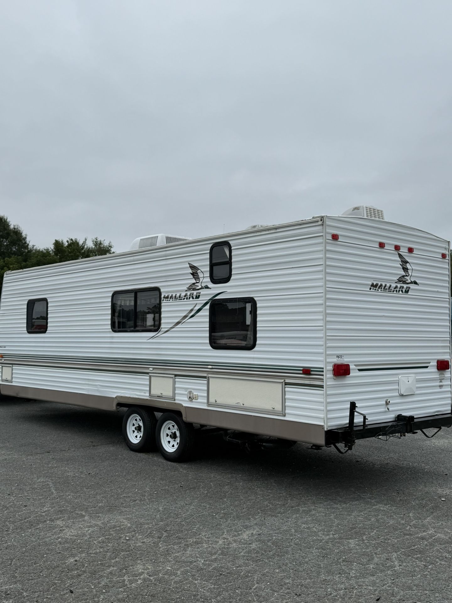 2004 Mallard