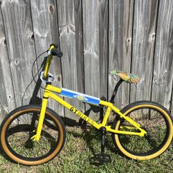 GT BMX 20 Inch Bike 