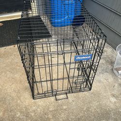 Kennel