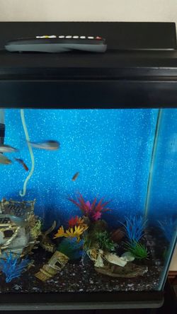 2 ten gallon fish tanks