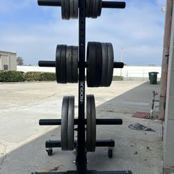 Olympic Weight Set With Rogue Vertical Weight Tree 2.0
