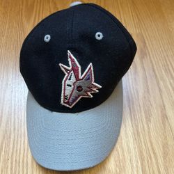 Vintage Arizona Coyotes Puma Hat one size fits all