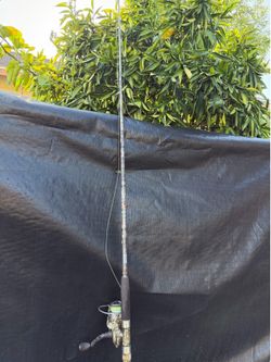 Fishing poles