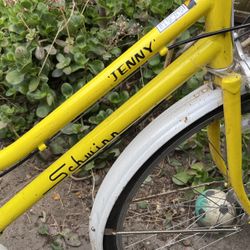 Bicycle Schwann “Jenny”