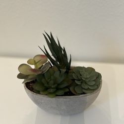 Faux Succulent Arrangement 