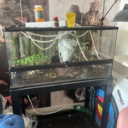 40 Gallon Reptile Tank