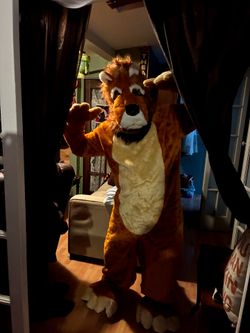 Lion costume adult size
