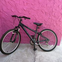 Trek 3700 Alpha Custom Aluminum Mountain Bike 13”