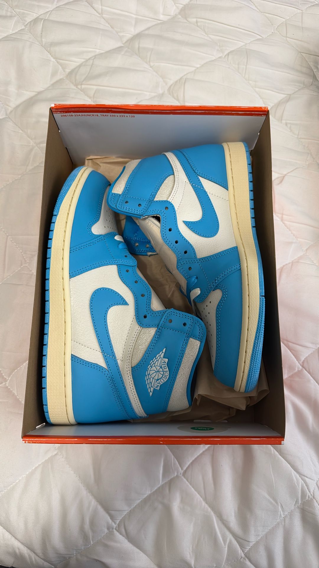Nike Air Jordan 1 OG UNC Reimagined 2025 Size 10