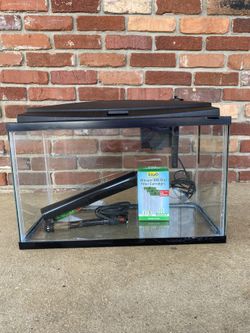 5gal Freshwater Fish Tank Set-up