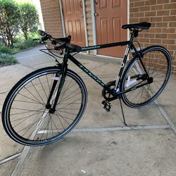 TAKARA YUUGEN SINGLE SPEED FLAT BAR ROAD BIKE MEDIUM AND LARGE