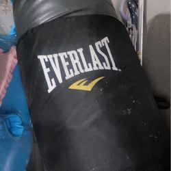 Everlast Punching Bag