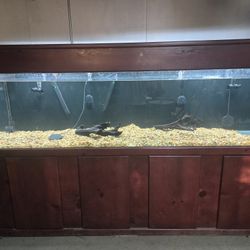 Custom 240 gallon Fish Tank  with  Stand & Canopy 