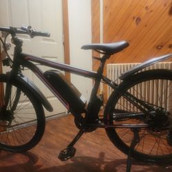 Ecotric Electic Bike 
