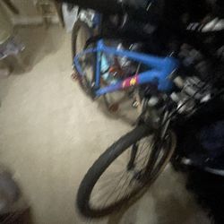 Mountain Bike (MARIN)