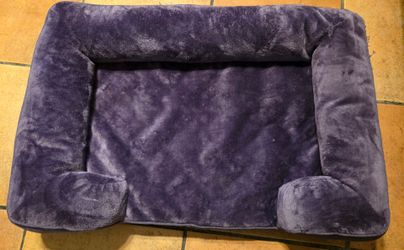 Purple dog bed