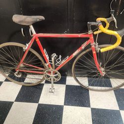 1986 Vintage Specialized Allez  SE Jim Merz Edition Road Bike - 24 Inch