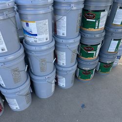 Pintura Inteiror Exteiror Paint  Sale